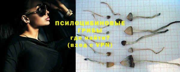 герыч Балахна