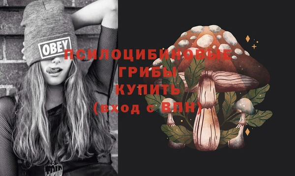 бутират Арсеньев